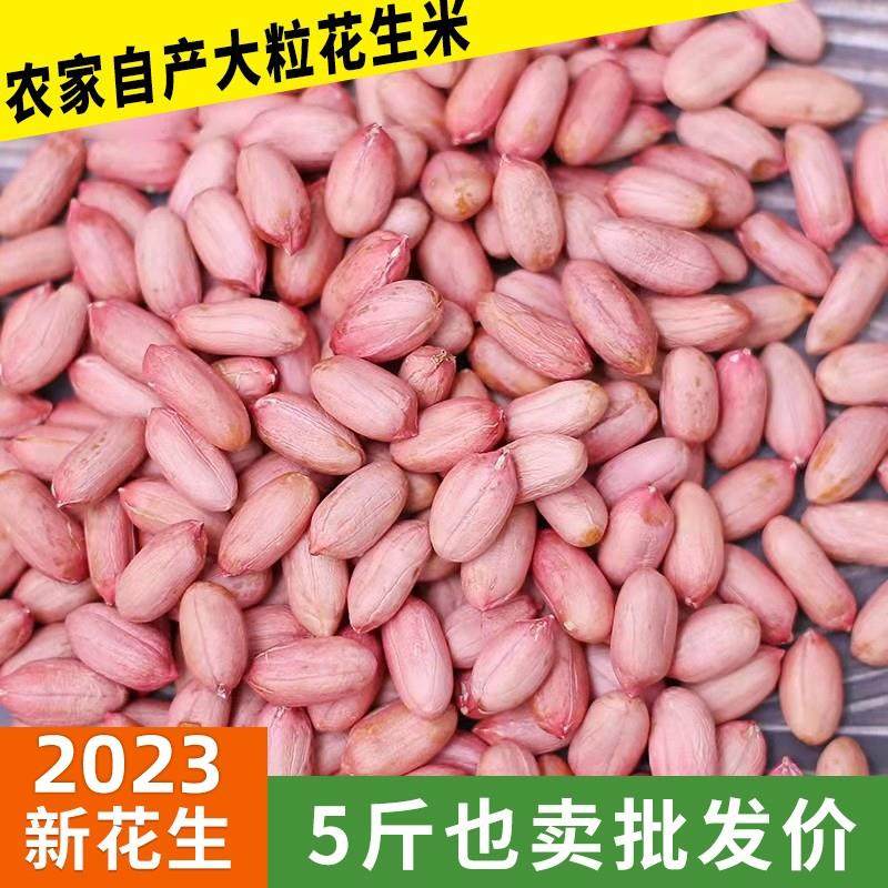 2024山东大粒花生米 生 新 精选大花生农家原味红皮生5斤装包邮