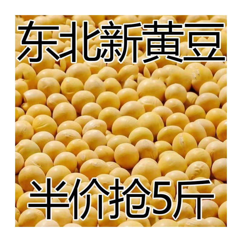 【5斤特价】东北新黄豆非转基因大豆打豆浆新鲜发豆芽批发10g