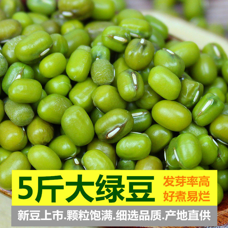 大粒绿豆新货农家绿豆去皮脱皮绿豆糕饼绿豆汤材料新鲜豆芽笨绿豆