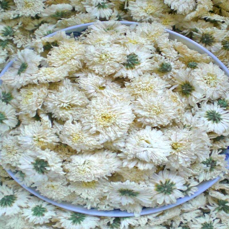 白菊花茶正品黄山白菊贡菊七月菊花草茶菊胎菊散装金银