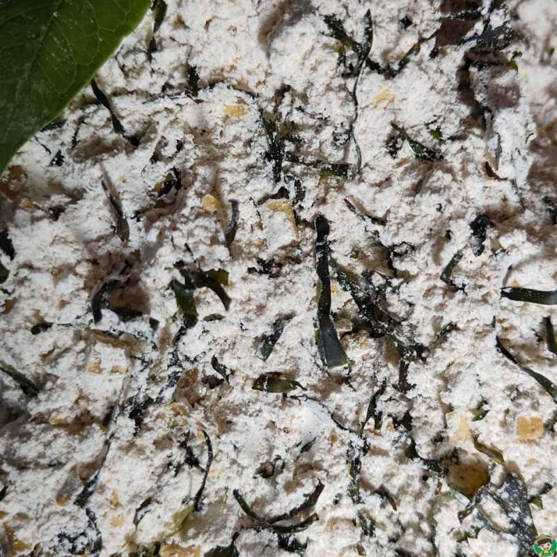 逍遥镇胡辣汤散装牛肉海带味商用袋装早餐店食堂专用正宗