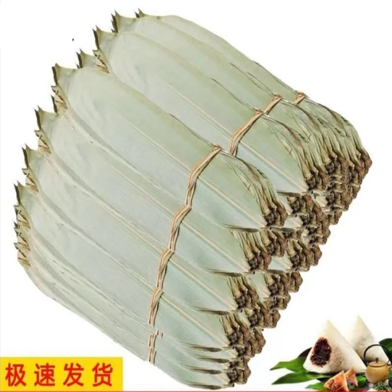 商用粽叶粽子叶包邮新鲜干大粽叶端午包粽子统货手选A7称5斤