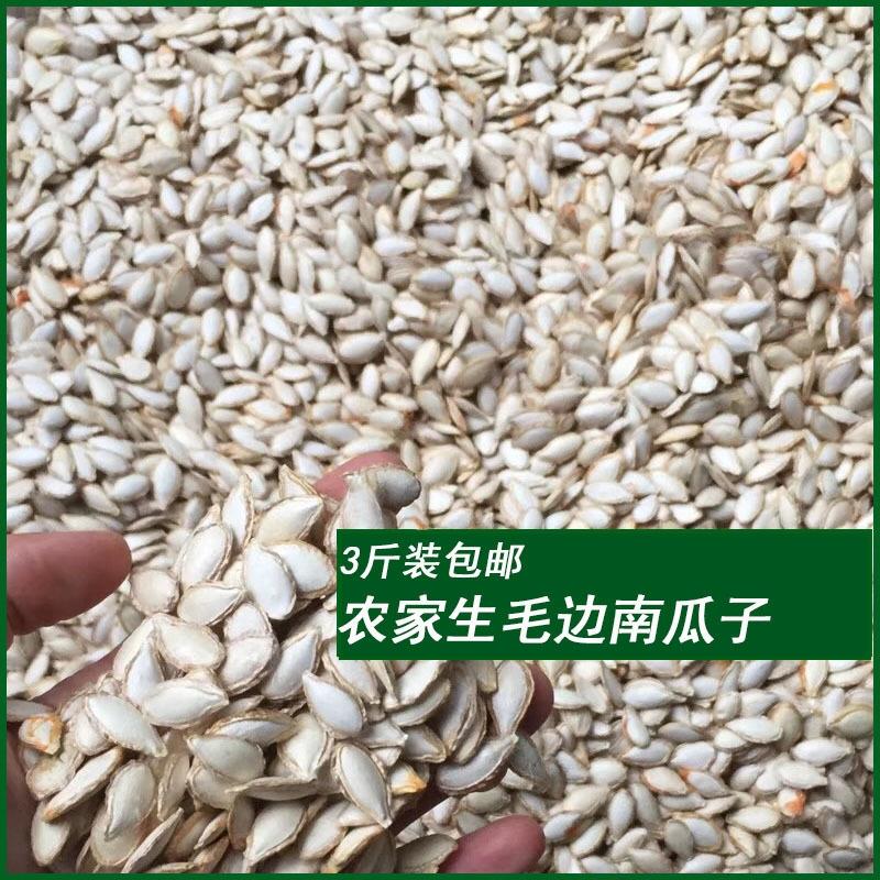 新货老品种毛边生南瓜子农家自种精选颗粒饱满散装安徽精选南瓜籽