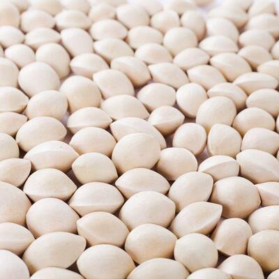 2024生白果银杏果新鲜特一级带壳大果当季优质白果无漂白食用干果