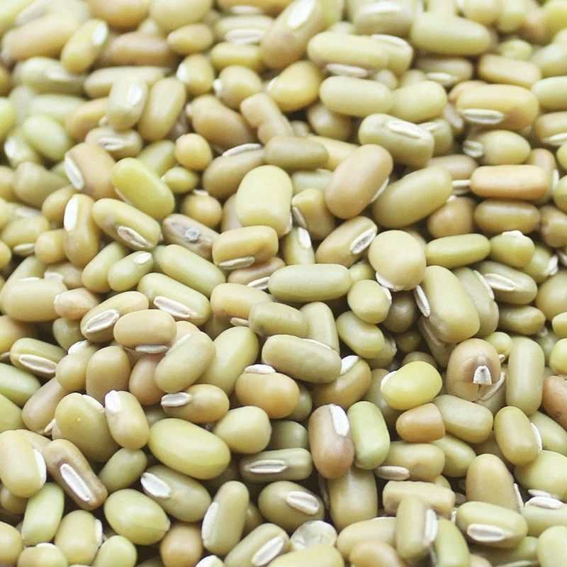 新货竹豆云南农家自产饭豆眉豆米豆豇豆江豆杂粮豆类粗粮散装批发