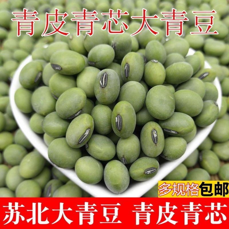 新大青豆250g/5斤农家自种青大豆干青豆绿大豆青皮青仁大黄豆包邮