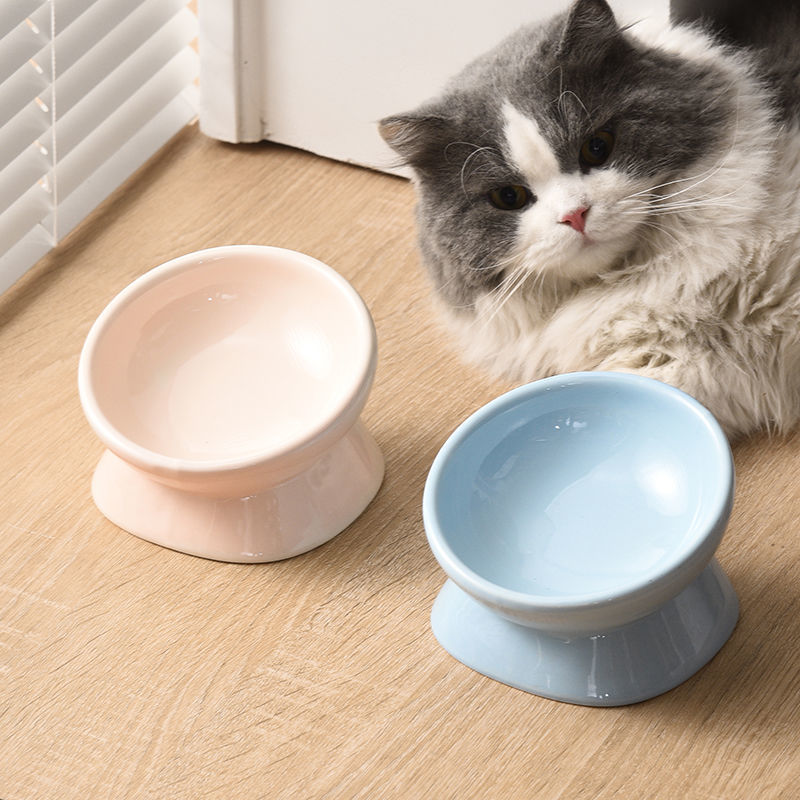 猫碗陶瓷猫食盆矮脚猫拿破仑幼猫专用宠物碗斜口保护颈椎防打翻
