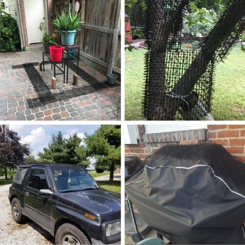 极速2M  Garden  S Mat s and Dogs Repellent Mat With Spi