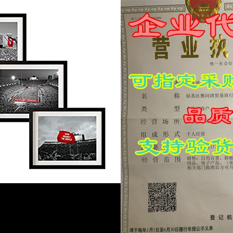 M Modern Memory Design Ohio State Buckeyes Football Frame