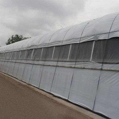 厂促品农用保温大棚膜 大棚膜薄膜家禽养殖大棚膜黑白颜色可选品