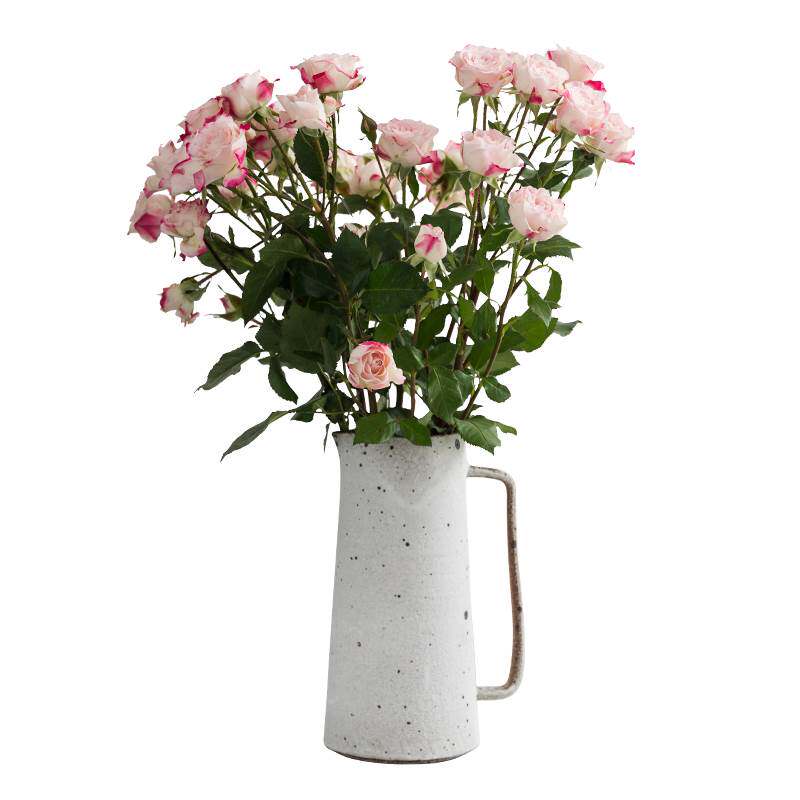 器昔北欧简约ins手工粗陶复古大手柄白色水培插花瓶花盆装饰摆件