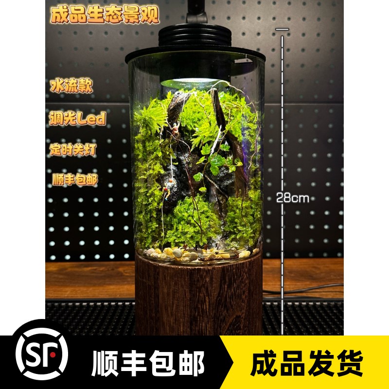 秘境成品植物苔藓微景观生态瓶办公桌绿植送礼送人送领导实木底座