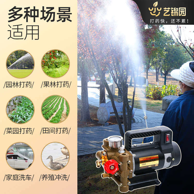柱塞泵高压农用喷雾器12v打药机自吸泵打打双缸药泵药果园泵水泵