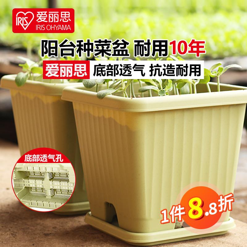 爱丽思菜苗种植盆韭菜种植盆香菜种植盆西红柿种植盆小番茄种植盆