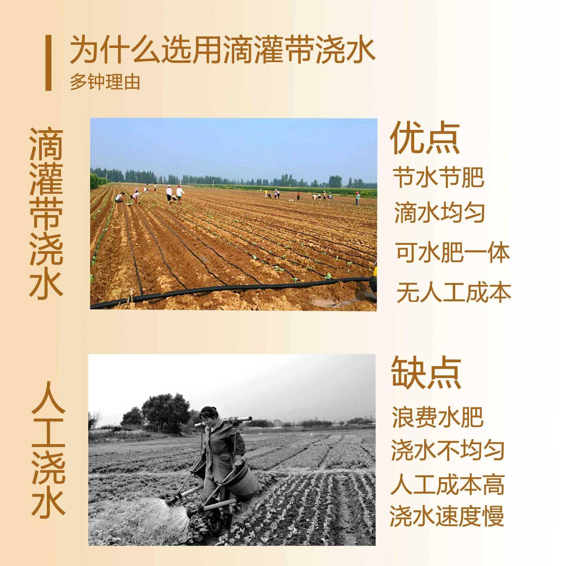 滴管带滴灌带灌溉工具16mm贴片式农用大棚蔬菜喷水节水浇地神器