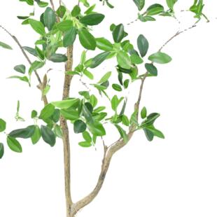 厂家榄树仿景真仿真迷你迷你榕艺室内装饰落地摆件橄观假绿植工品