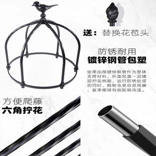 加高月季大花架爬藤架花园庭院别墅铁G线莲藤本花卉园艺攀爬花支