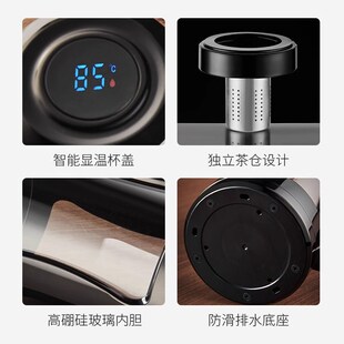 高档男士商务显温泡茶杯办公室茶水分离I耐热玻璃水杯防漏带盖手