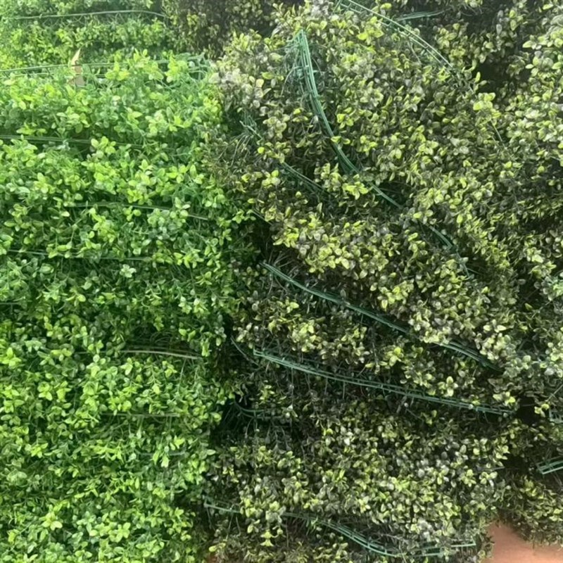 户外绿植井盖遮挡l装饰品空心大草球仿真塑料草球米兰草球黄杨草