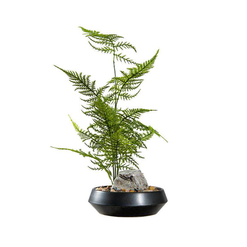 新中式仿真文竹植物盆栽微景观造景花几书房茶艺茶室案头绿植摆件