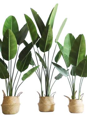 仿真绿植高端轻奢饰旅人蕉XVZ室内大型盆地栽客厅落装摆件花树假