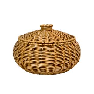 仿藤收篮带盖水纳果零食杂物收筐椭圆南纳篮客瓜厅茶几茶叶放无置
