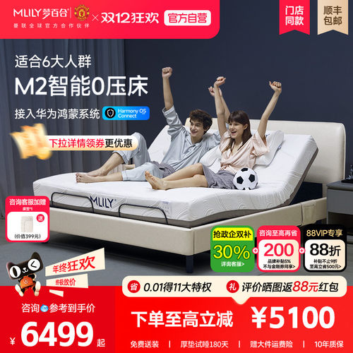 梦百合零压婚床轻奢多功能