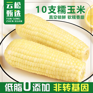 10支白黏玉米软糯香甜独立包装真空锁鲜代餐轻食非东北粘苞米整箱