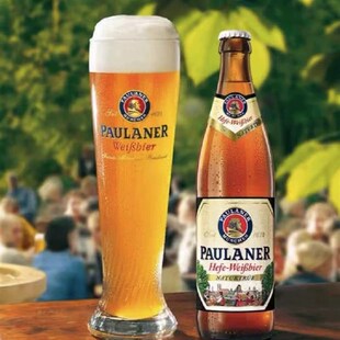 保拉纳啤酒杯 德国柏龙啤酒杯 500ml