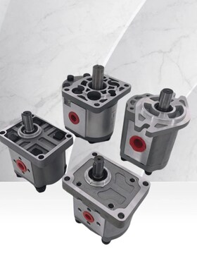 淮安长江CBN系列齿轮泵CBN-F304/F306/F310/F314/F316齿轮泵油泵