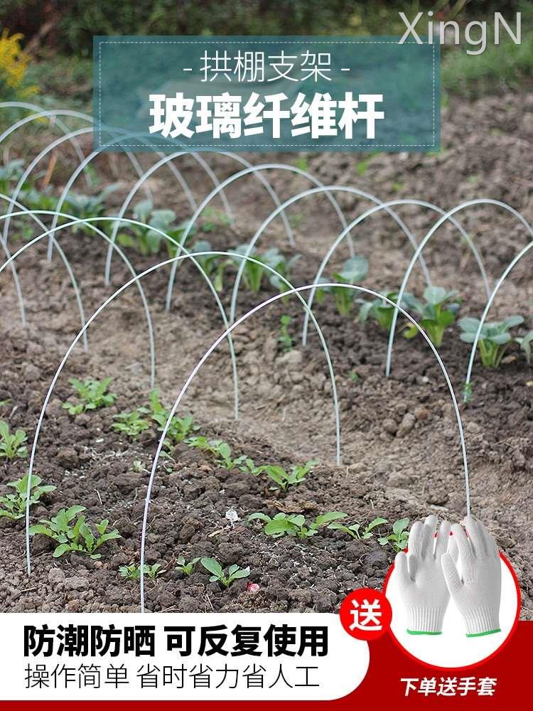 小拱棚支架玻璃纤维杆保温棚花棚新型农用大棚骨架菜园防冻雪拱竿