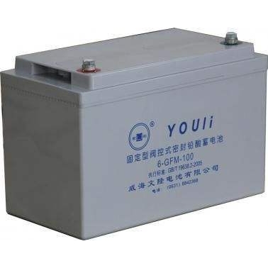 有利蓄电池6-GFM-100 12v100ah蓄电池 铅酸免维护 ups电瓶光伏
