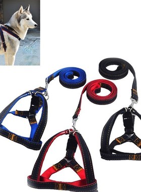 New Colorful Jean Denim Leash Harness Dog Collar Chain Cat R