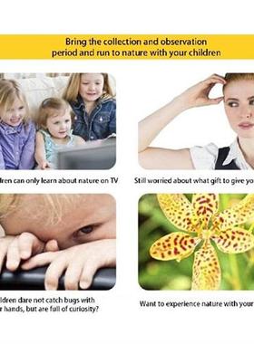 Bugs Catcher Insect Magnifier Bugs Catcher And Viewer