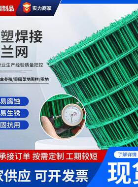 荷兰网隔离防护铁网养殖钢丝护栏绿色焊接小孔防鼠防护养鸡围栏网
