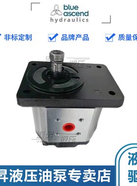 土耳其BLUE ASCEND齿轮泵APH20.040/060/080/095/115/140/160/190