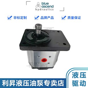 080 095 115 土耳其BLUE 160 060 140 190 ASCEND齿轮泵APH20.040