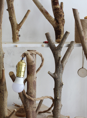 网红树枝DIY台灯装饰材料 小树杈带底座 干树枝 网店拍图摄影道具