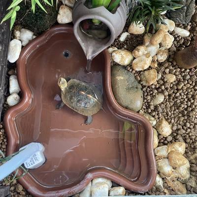 家用乌龟超大泡澡盆塑胶鱼缸造景摆件陆龟半水龟爬虫宠物饲养水盆