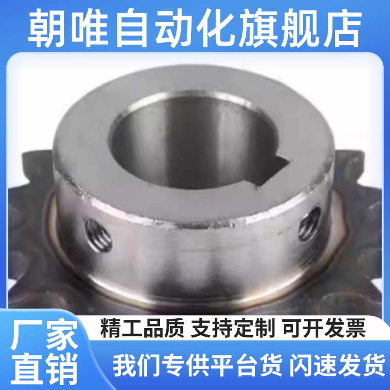 SP40B21-N/S-14/15/16/17/18/19/20/22/24/25/28/30/32/35/40链轮