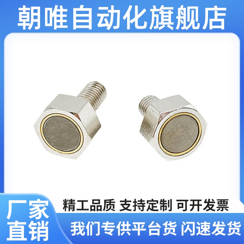BML01 BML02 BML06 BML11 BML21 31-M3/M4/M5/M6/M8/M10 带座磁铁