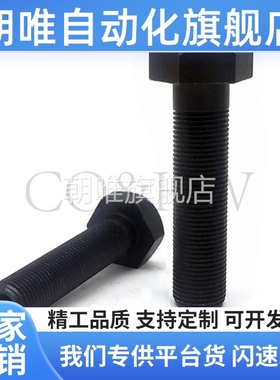 STRC4/M/M6/M8/M10/M12调整螺丝 止动螺栓内六角孔型PBH51 粗牙