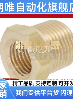 替代SJSPB12/13/23/24/34/36/46黄铜 异径 异径接头SJSPB13