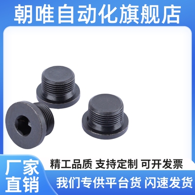 带O型圈封油堵头MSWM8 10 12 14 16 18 20 22 24 27内六角喉塞