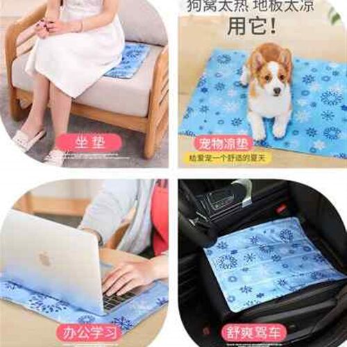 新品冰垫坐垫学生教室冰凉垫夏季冰枕水床垫夏天透气学生免注水袋