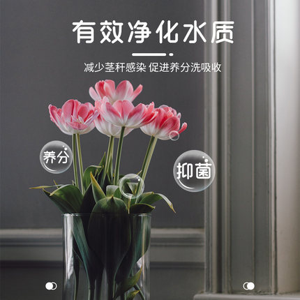 极速养花二氧化氯泡腾消毒片消毒液宠物鲜花液杀菌插花鲜花卉保鲜
