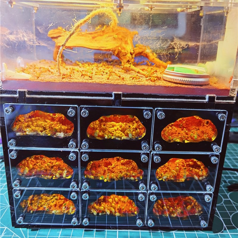 新品天空城D版 宠物蚂蚁工坊笼子繁活体蚁巢亚克力沙巢家园别墅宫