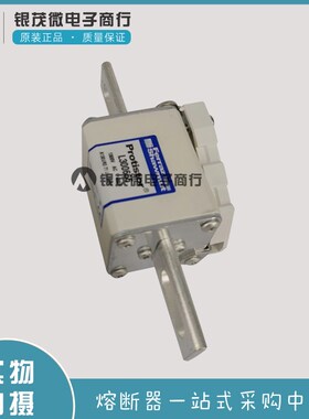 DVGR50V200/G212020 DIIGR50V2/Z212542 DIIGR50V4/K213058熔断器