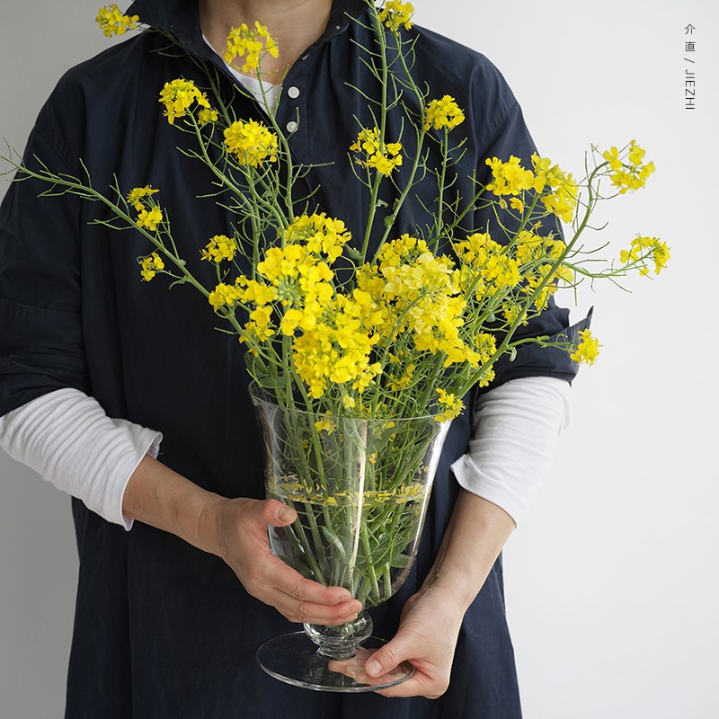 介直 Big Vase高透玻璃大号花瓶D 法式中古感鲜切插花透明家居摆