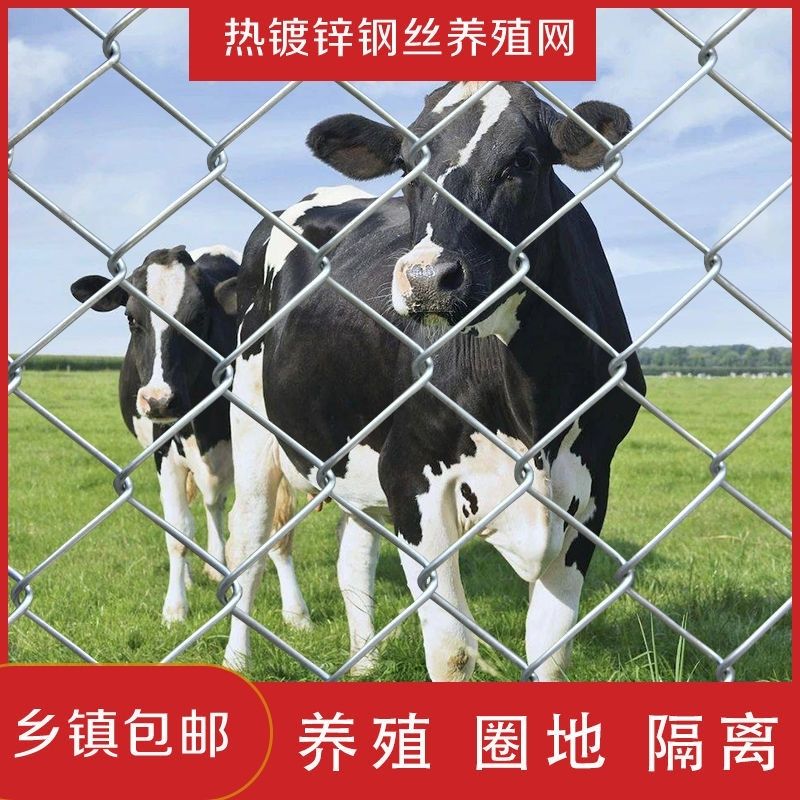 热镀锌铁丝网果园网养殖网体育球场围栏网不锈钢丝网菱形勾花网格